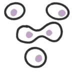 cell culture growth rate doubling time