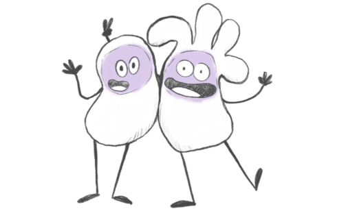 Cellseeker cell buddies